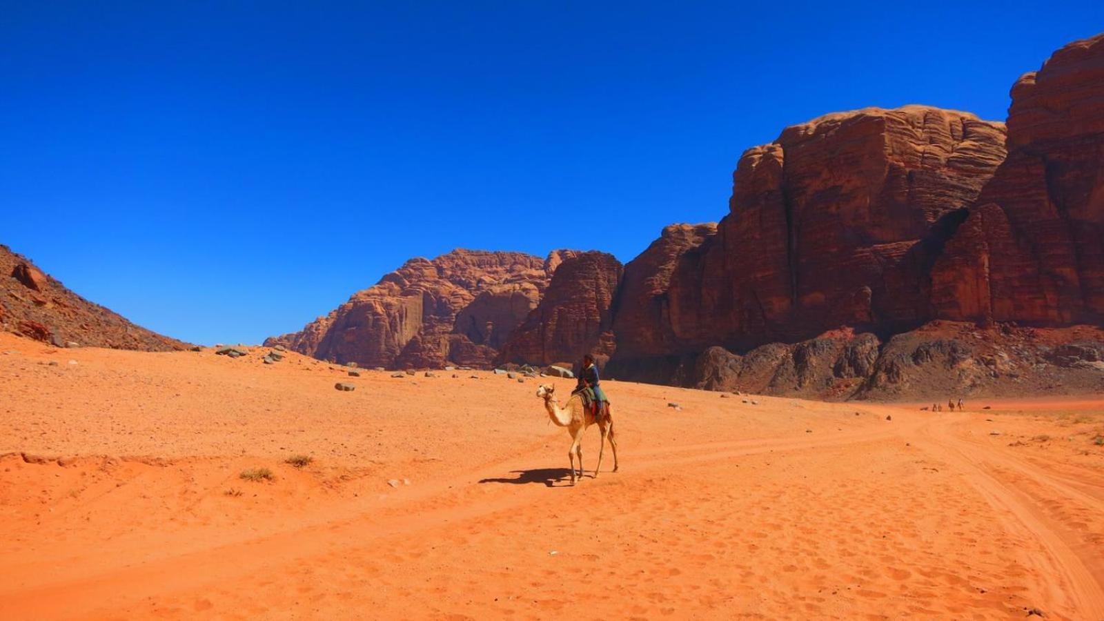 Wadi Rum Magic Nature Camp Экстерьер фото