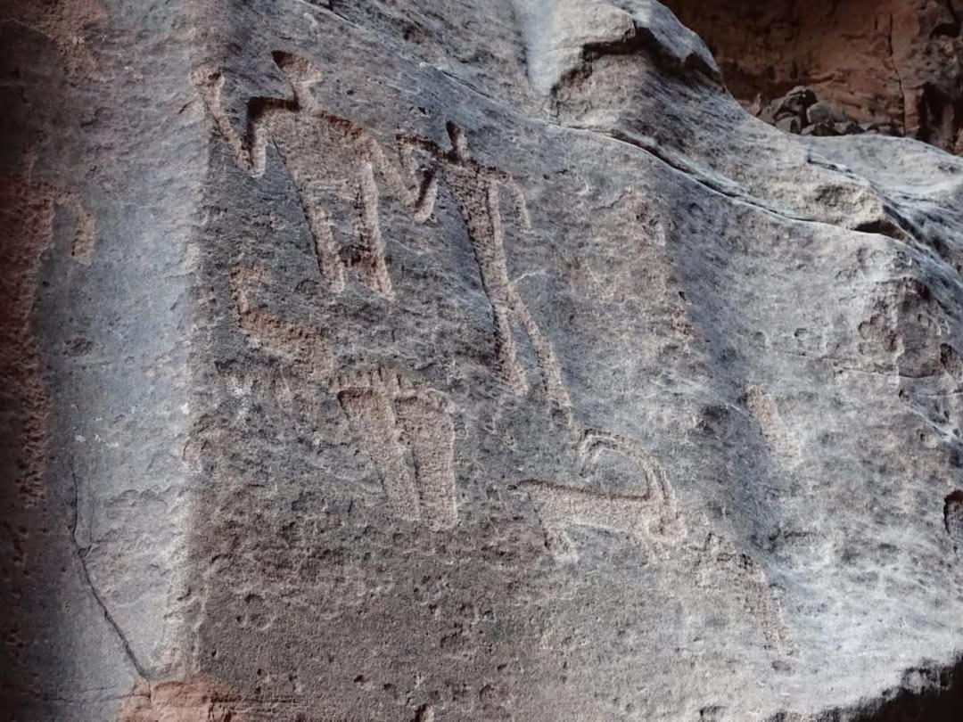 Wadi Rum Magic Nature Camp Экстерьер фото