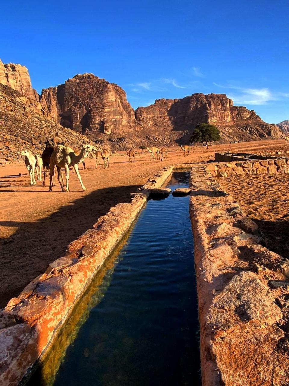 Wadi Rum Magic Nature Camp Экстерьер фото